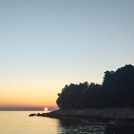 Lana Šibenik